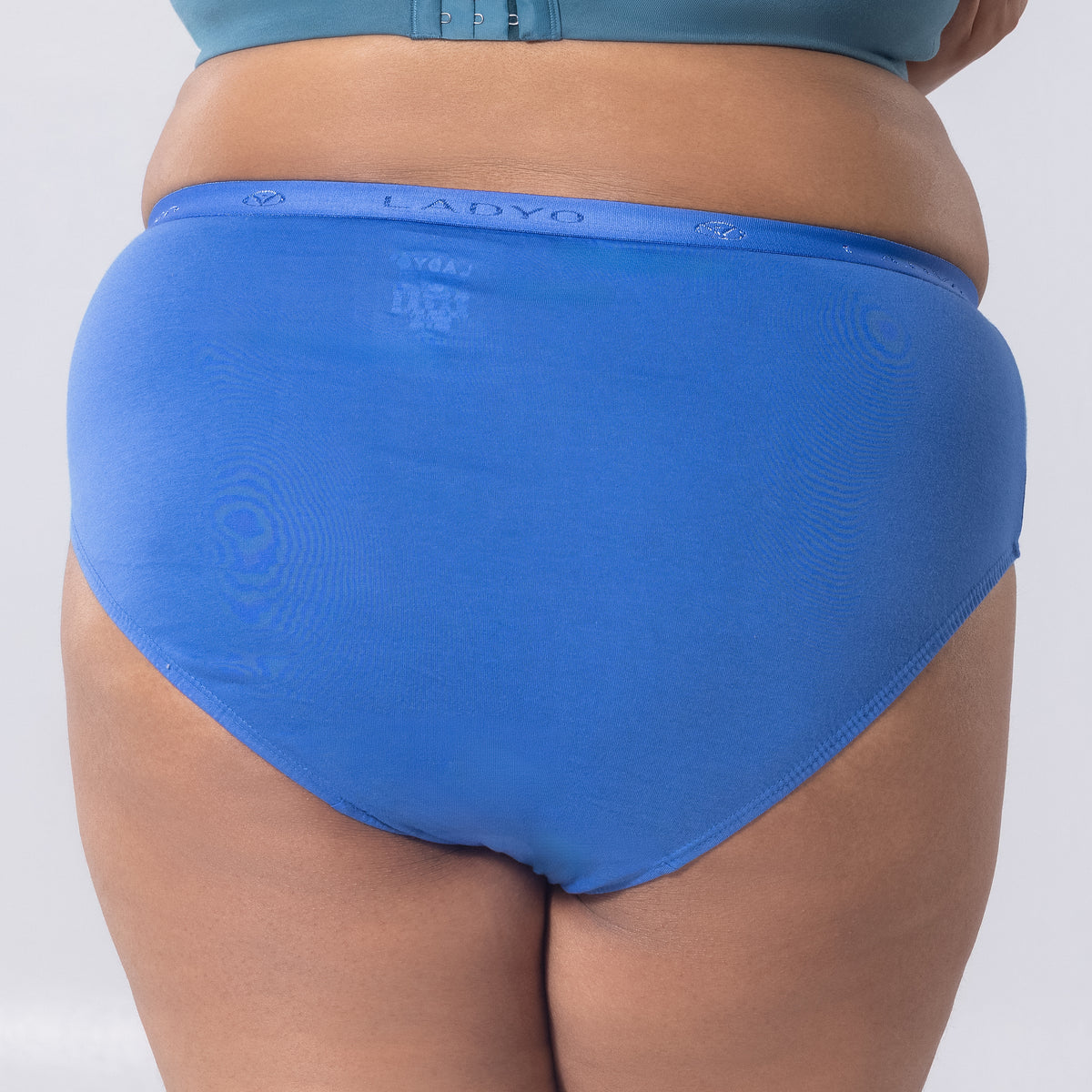 Lilly Full Brief Panty back view worn by model